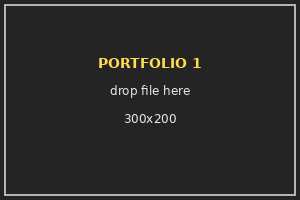 Placeholder 1