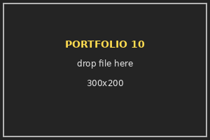 Placeholder 10