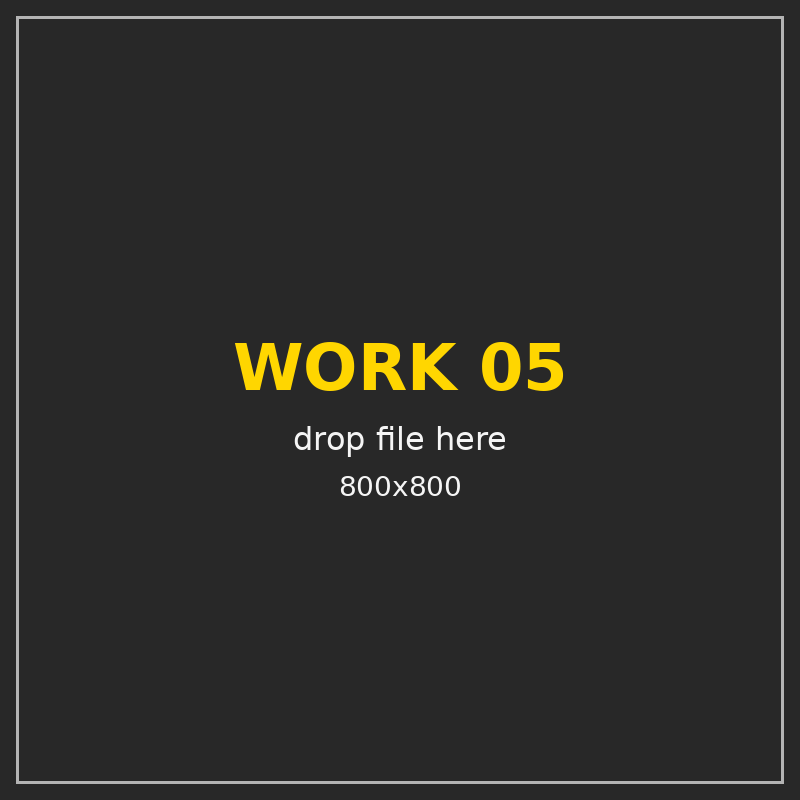 PLACEHOLDER — Project 05 800x800 — drop file here